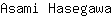 A***a