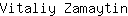 V***n