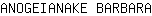 A***A