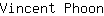 V***n