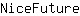 N***e