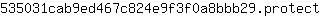 5***t