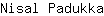 N***a
