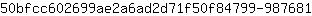 5***1