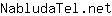 N***t