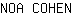 N***N