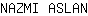 N***N