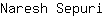 N***i