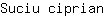 S***n