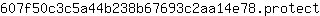 6***t