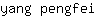 y***i
