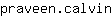 p***n