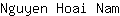 N***m