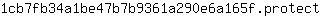1***t