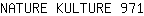 N***1