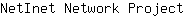 N***t