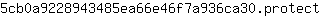 5***t