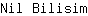 N***m