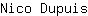 N***s