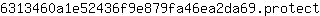 6***t