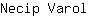 N***l