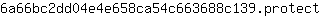 6***t