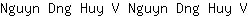 N***V