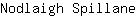 N***e