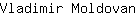 V***n