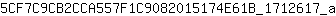 5***a