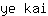 y***i