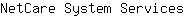 N***s