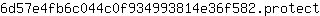 6***t