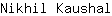 N***l