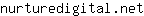 n***t