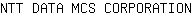 N***N
