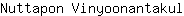 N***l