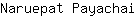 N***i