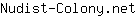 N***t