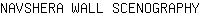 N***Y