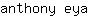 a***a
