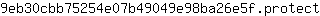9***t