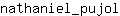 n***l