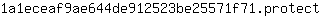 1***t