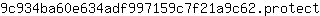 9***t