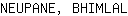 N***L