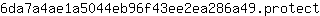 6***t