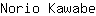 N***e