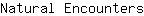 N***s