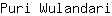 P***i
